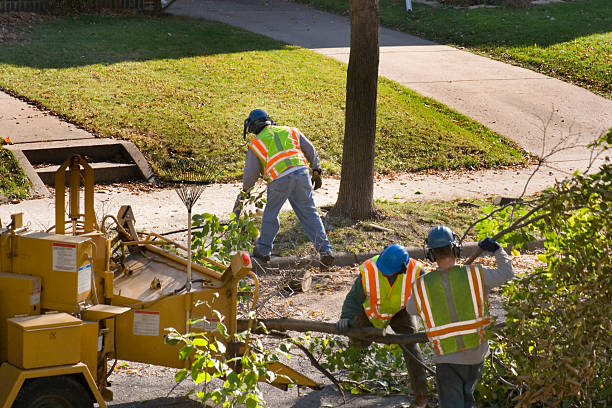 Best Commercial Tree Services  in Coopersburg, PA